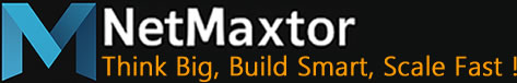 NetMaxtor Logo