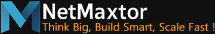 NetMaxtor Logo